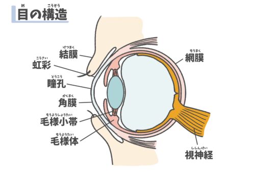 結膜炎 icl手術